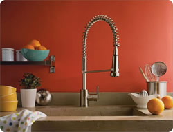 Danze Parma Single Handle Pre Rinse Kitchen Faucet