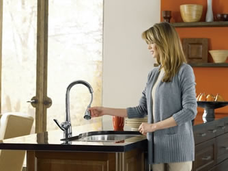 Moen Faucets