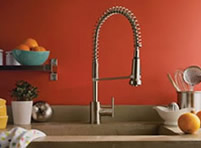 Danze Parma Single Handle Pre Rinse Kitchen Faucet