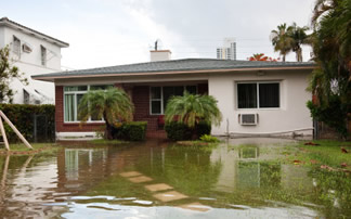 Leaky Basement